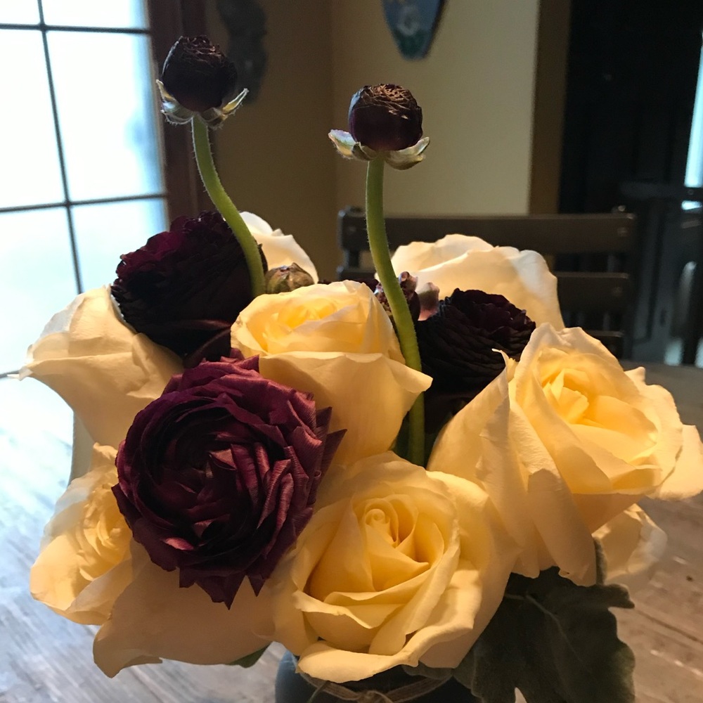 Meet your Posher, Gloria